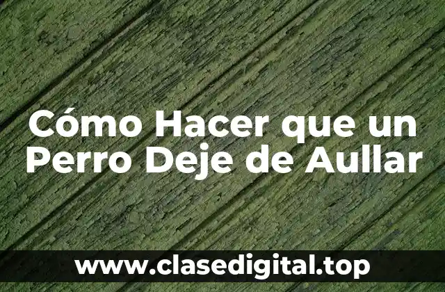 Cómo Hacer que un Perro Deje de Aullar