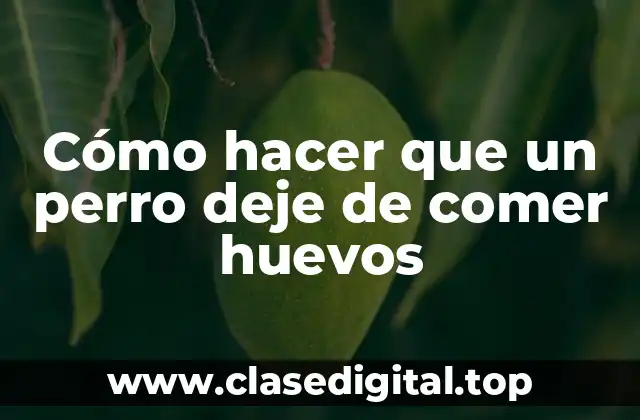 Cómo hacer que un perro deje de comer huevos