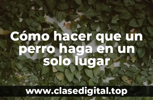 Cómo hacer que un perro haga en un solo lugar