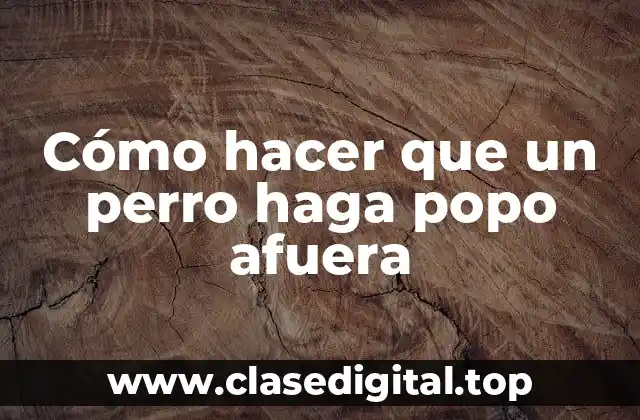 Entrenamiento para que un perro haga popo afuera