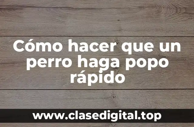 Cómo hacer que un perro haga popo rápido