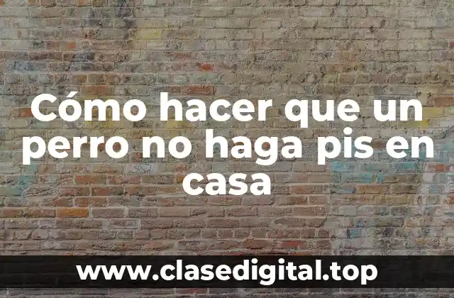 Cómo hacer que un perro no haga pis en casa