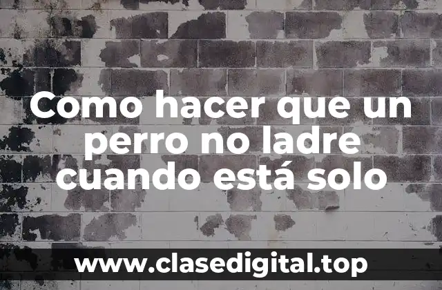 ¿Qué es la ansiedad por separación en perros?