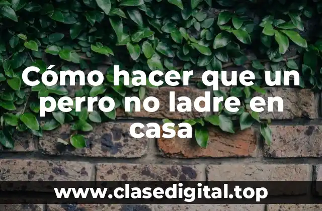 Cómo hacer que un perro no ladre en casa