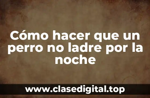 Cómo hacer que un perro no ladre por la noche
