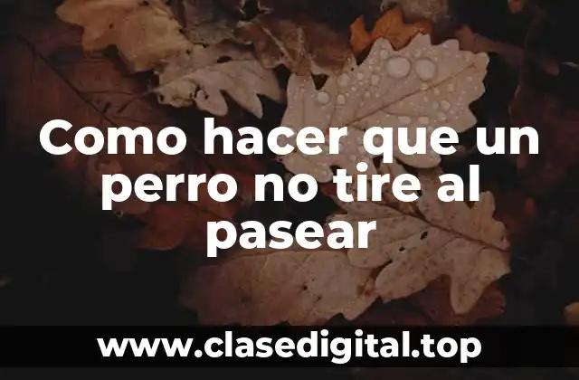 Como hacer que un perro no tire al pasear