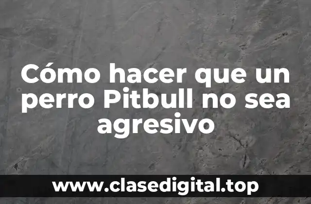 Cómo hacer que un perro Pitbull no sea agresivo