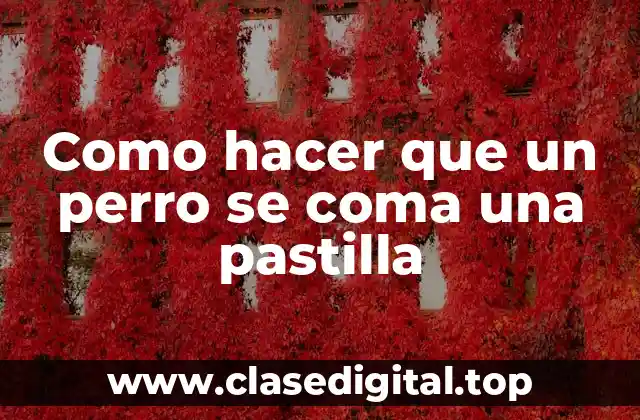 ¿Qué es administrar una pastilla a un perro y por qué es importante?