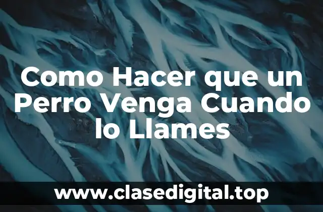 Como Hacer que un Perro Venga Cuando lo Llames