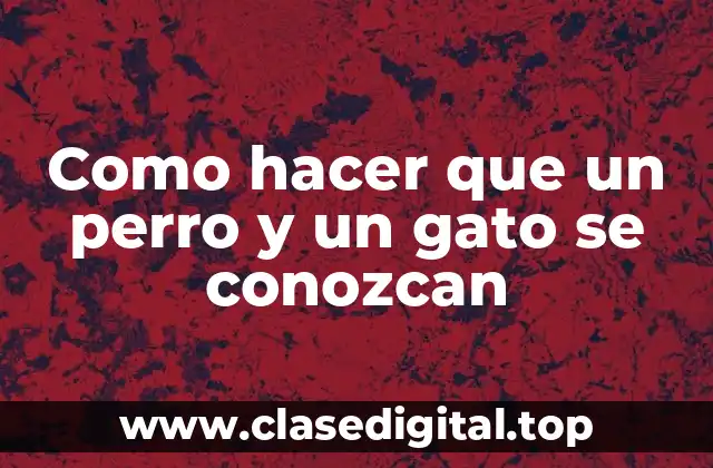 Como hacer que un perro y un gato se conozcan