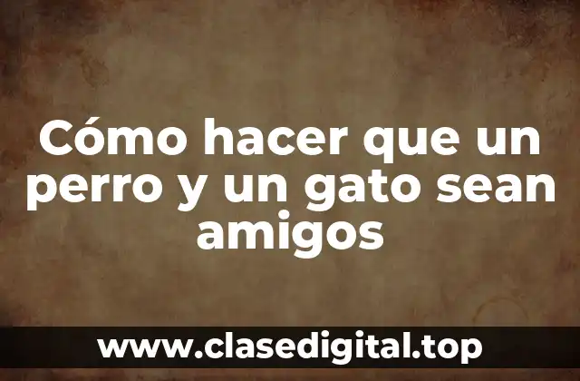 Cómo hacer que un perro y un gato sean amigos