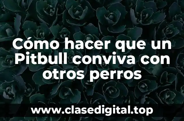 ¿Qué es la convivencia entre Pitbulls y otros perros?