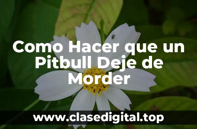 Como Hacer que un Pitbull Deje de Morder