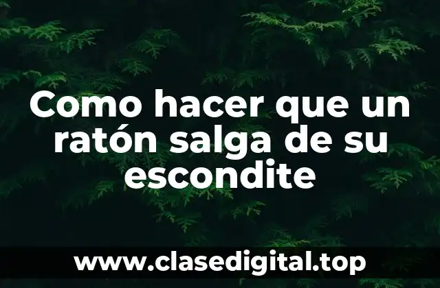 ¿Qué es un ratón escondido y cómo se comporta?