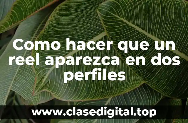 Como hacer que un reel aparezca en dos perfiles