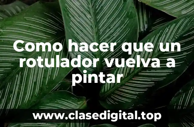 Como hacer que un rotulador vuelva a pintar