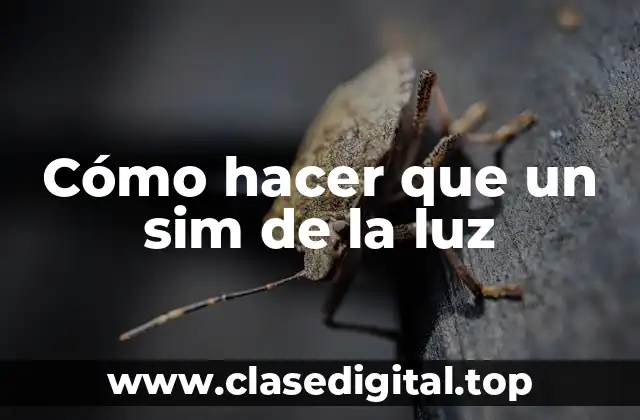 Cómo hacer que un sim de la luz