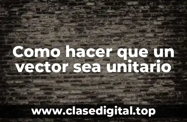 Como hacer que un vector sea unitario