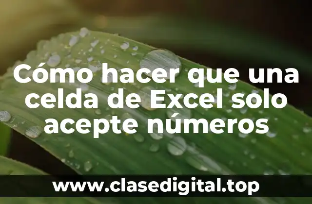 Cómo hacer que una celda de Excel solo acepte números