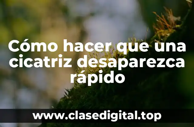 Cómo hacer que una cicatriz desaparezca rápido