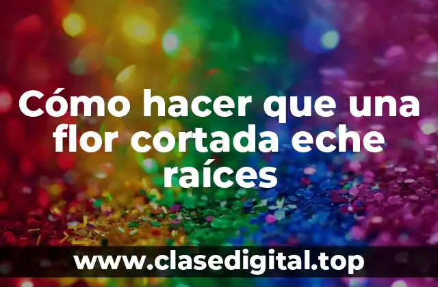 Cómo hacer que una flor cortada eche raíces