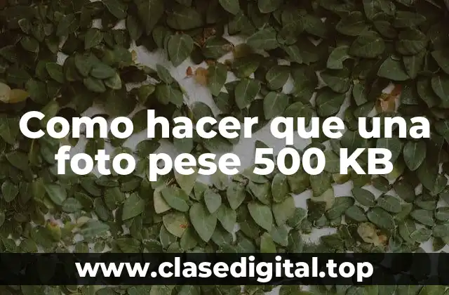 Como hacer que una foto pese 500 KB
