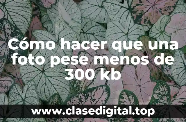 Cómo hacer que una foto pese menos de 300 kb