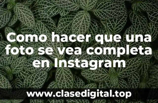 Como hacer que una foto se vea completa en Instagram