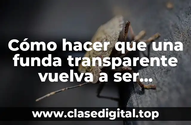 Cómo hacer que una funda transparente vuelva a ser transparente