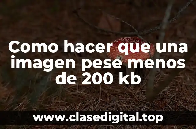 Como hacer que una imagen pese menos de 200 kb