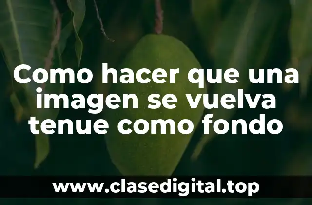 Como hacer que una imagen se vuelva tenue como fondo
