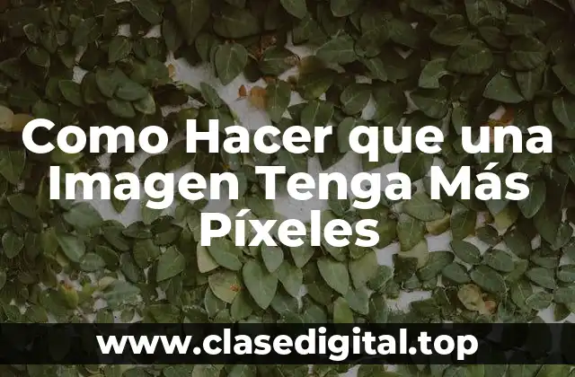 Como Hacer que una Imagen Tenga Más Píxeles