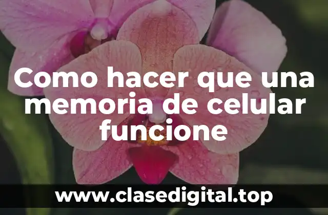 Como hacer que una memoria de celular funcione