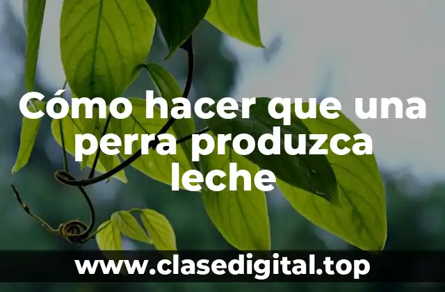 Cómo hacer que una perra produzca leche