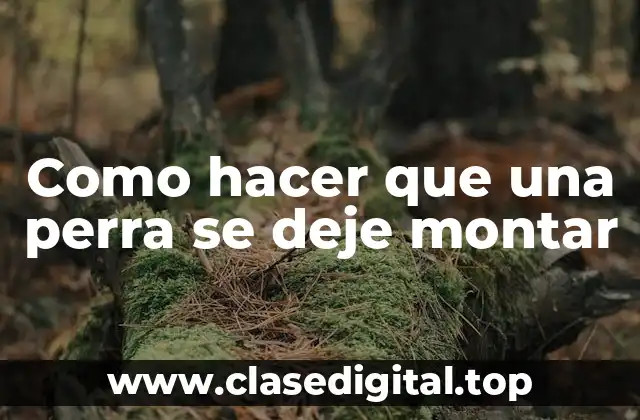 Como hacer que una perra se deje montar