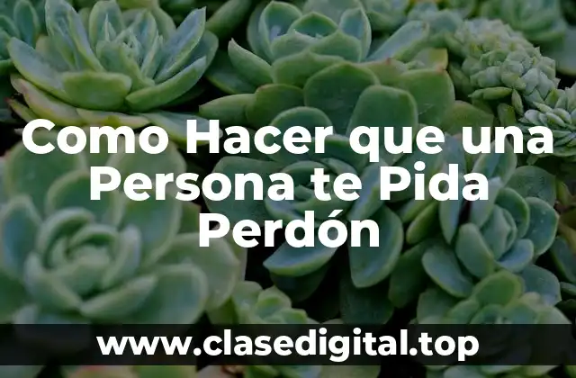 Como Hacer que una Persona te Pida Perdón