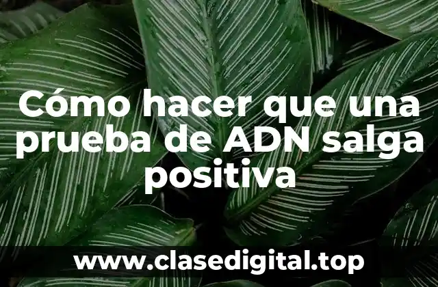 Cómo hacer que una prueba de ADN salga positiva
