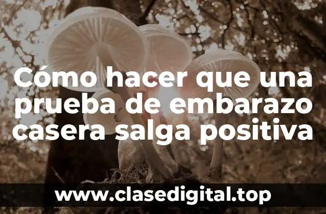 Cómo hacer que una prueba de embarazo casera salga positiva
