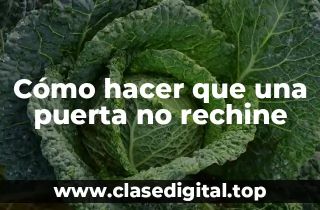Cómo hacer que una puerta no rechine