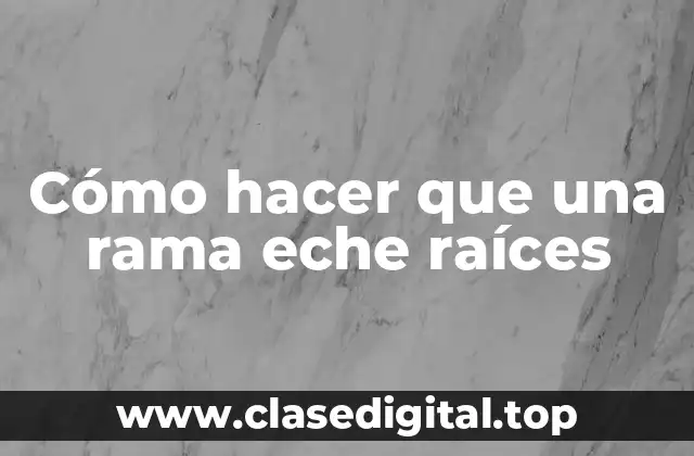 Cómo hacer que una rama eche raíces