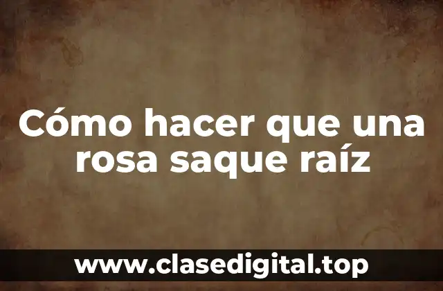 Cómo hacer que una rosa saque raíz