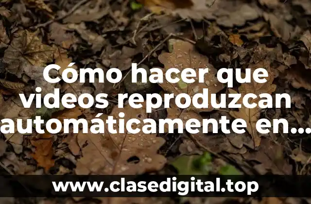 Cómo hacer que videos reproduzcan automáticamente en App Inventor 2