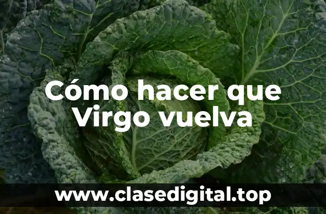 Características de los Virgo y cómo entenderlos