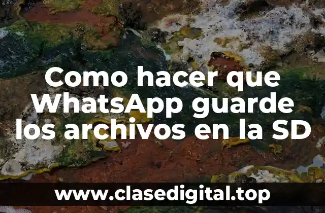 Como hacer que WhatsApp guarde los archivos en la SD
