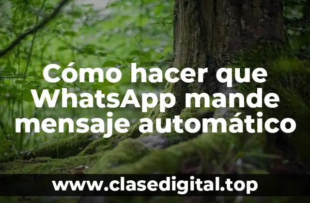 ¿Qué es un mensaje automático y cómo se utiliza?