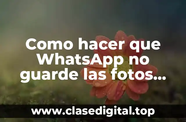 Como hacer que WhatsApp no guarde las fotos automáticamente