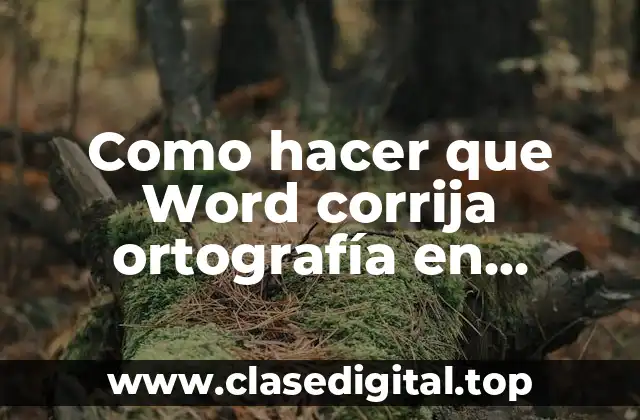 La corrección ortográfica en Word en español