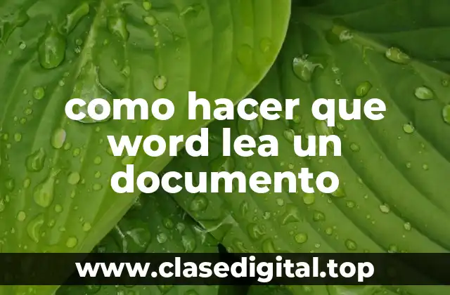 como hacer que word lea un documento