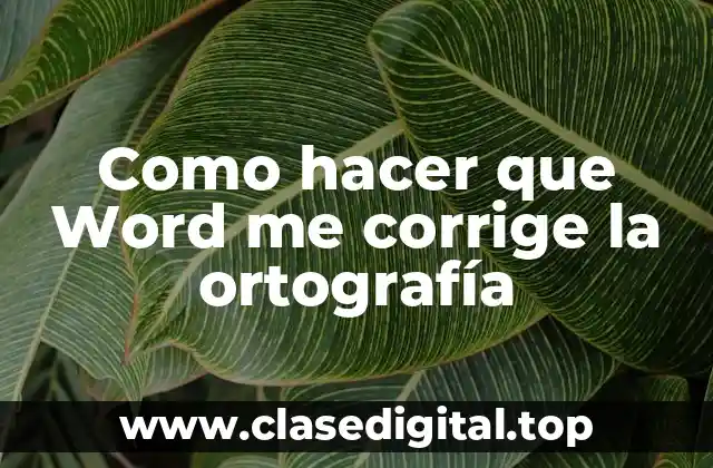 Como hacer que Word me corrige la ortografía