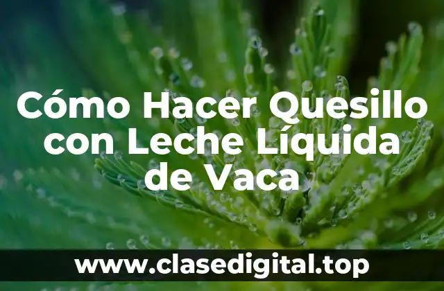 Cómo Hacer Quesillo con Leche Líquida de Vaca